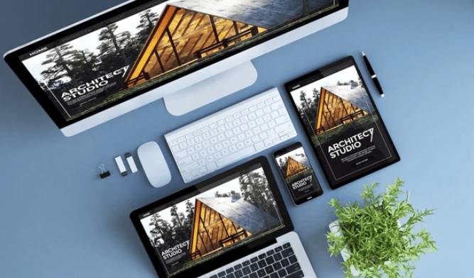 Website Development